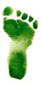 Green coloured right foot